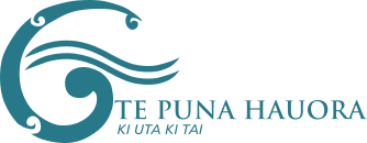 Te Puna Hauora